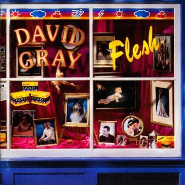 David Gray -  Flesh